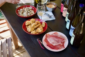 Wine & Food at a Organic Vineyard in Vinhos Verdes Region