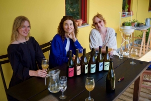 Wine & Food at a Organic Vineyard in Vinhos Verdes Region