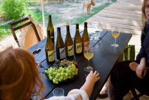 Wine & Food at a Organic Vineyard in Vinhos Verdes Region