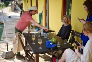 Wine & Food at a Organic Vineyard in Vinhos Verdes Region