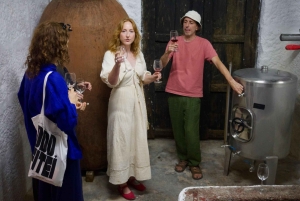 Wine & Food at a Organic Vineyard in Vinhos Verdes Region