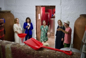 Wine & Food at a Organic Vineyard in Vinhos Verdes Region