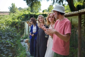 Wine & Food at a Organic Vineyard in Vinhos Verdes Region