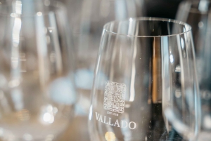 Vinprovning av unga och gamla viner med VR-tur – Poente by Vallado