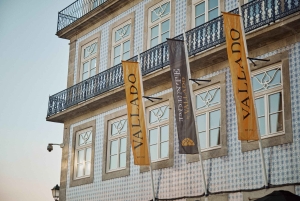 Vinprovning av unga och gamla viner med VR-tur – Poente by Vallado