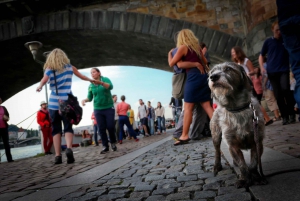 Alternative tour of Letna art district