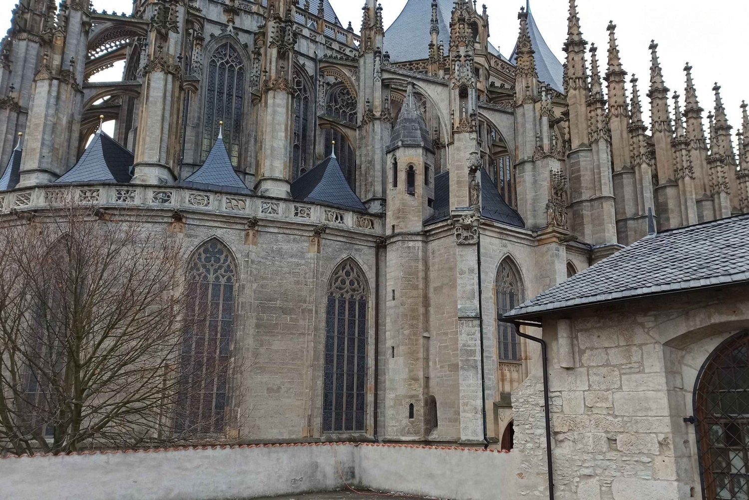 ボヘミアン パラダイス 1 日ツアー: 自然散策、城、ビール醸造所