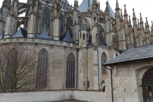 ボヘミアン パラダイス 1 日ツアー: 自然散策、城、ビール醸造所