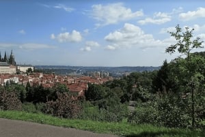 ボヘミアン パラダイス 1 日ツアー: 自然散策、城、ビール醸造所