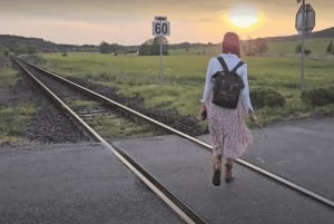 ボヘミアン パラダイス 1 日ツアー: 自然散策、城、ビール醸造所