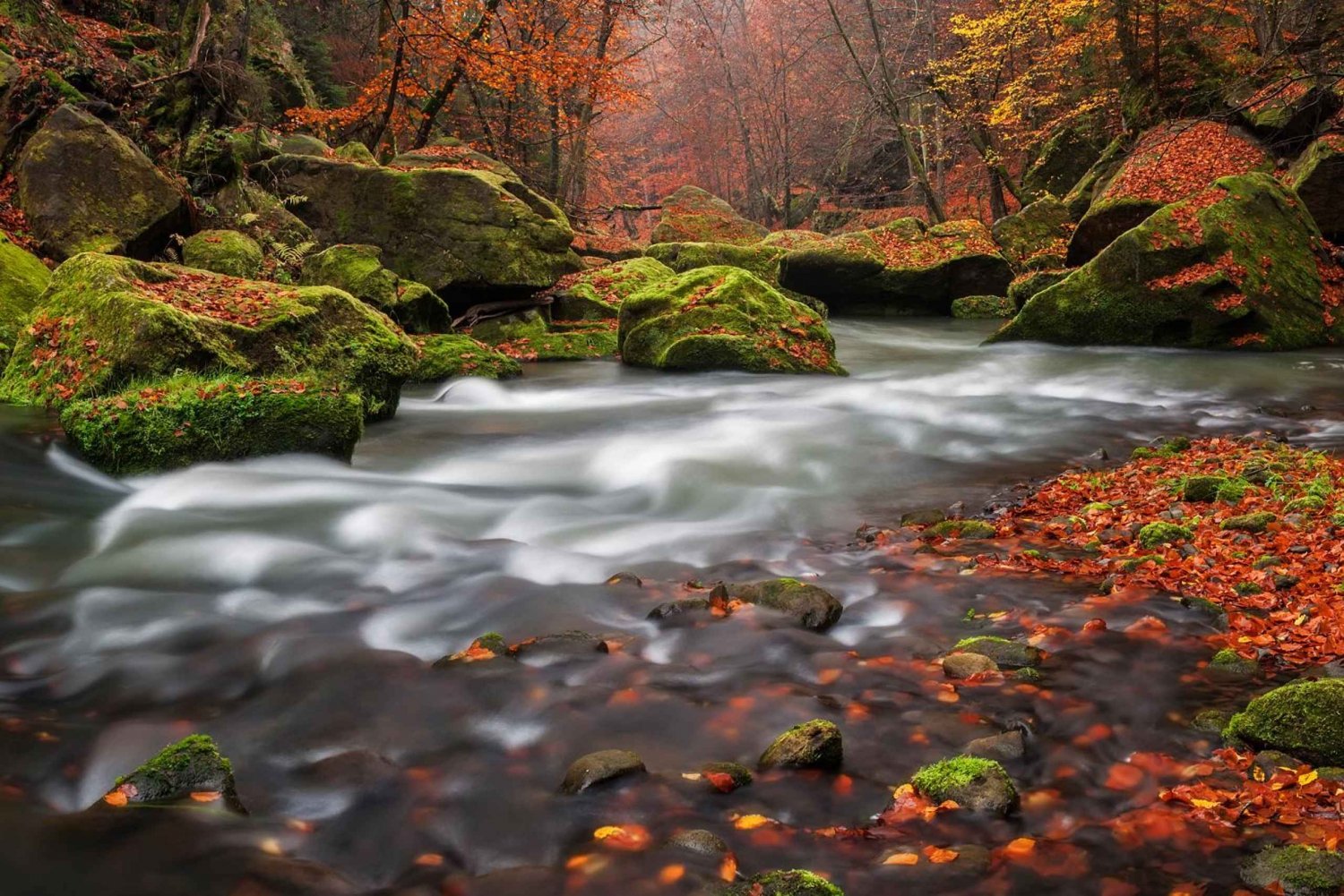 Bohemian Switzerland: Private Day Trip from Prague