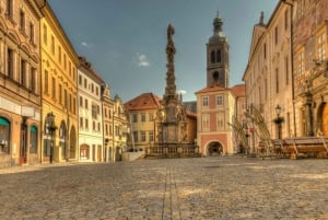 Bone Church and Kutna Hora Private Tour from Prague