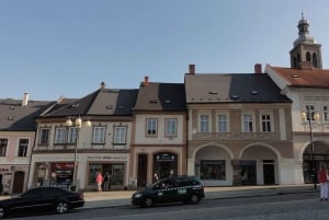 Bone Church and Kutna Hora Private Tour from Prague