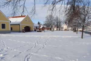 Cesky Krumlov Private Tour From Prague