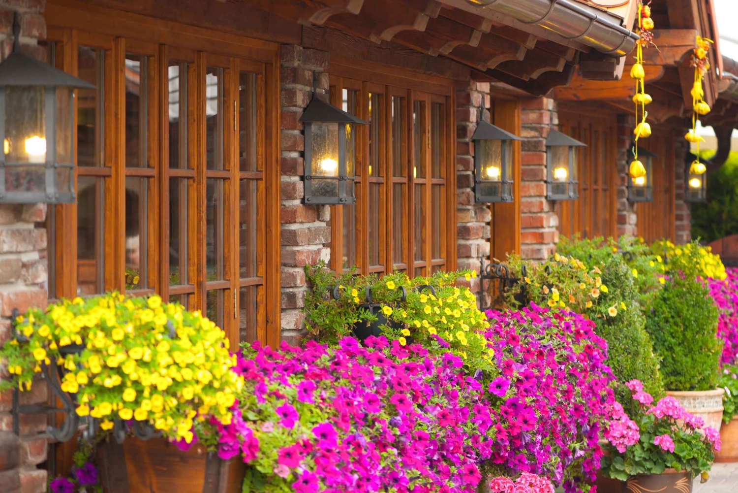 プラハからカルルシュタイン城までの田舎の自転車ツアー