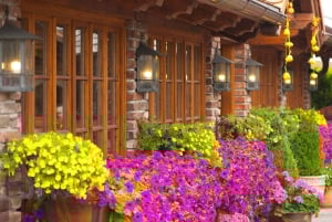 Wiejska wycieczka rowerowa z Pragi do zamku Karlstejn