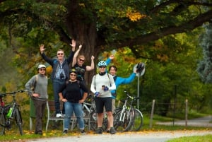Tour de campagne en vélo électrique jusqu'au château de Karlstejn
