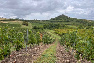 Czech Vineyards and Wine Tasting 4WD Tour with Lunch