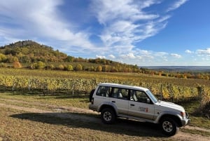 Czech Vineyards and Wine Tasting 4WD Tour with Lunch