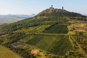 Czech Vineyards and Wine Tasting 4WD Tour with Lunch