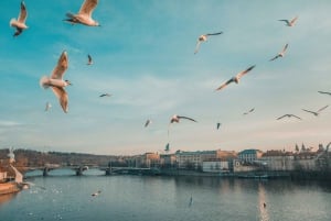 Scoprire Praga - Tour di 4 ore in auto