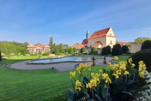 Discover Prague Private Tour - 3 hours