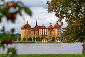 Från Prag: Dresden & Schloss Moritzburg dagsutflykt