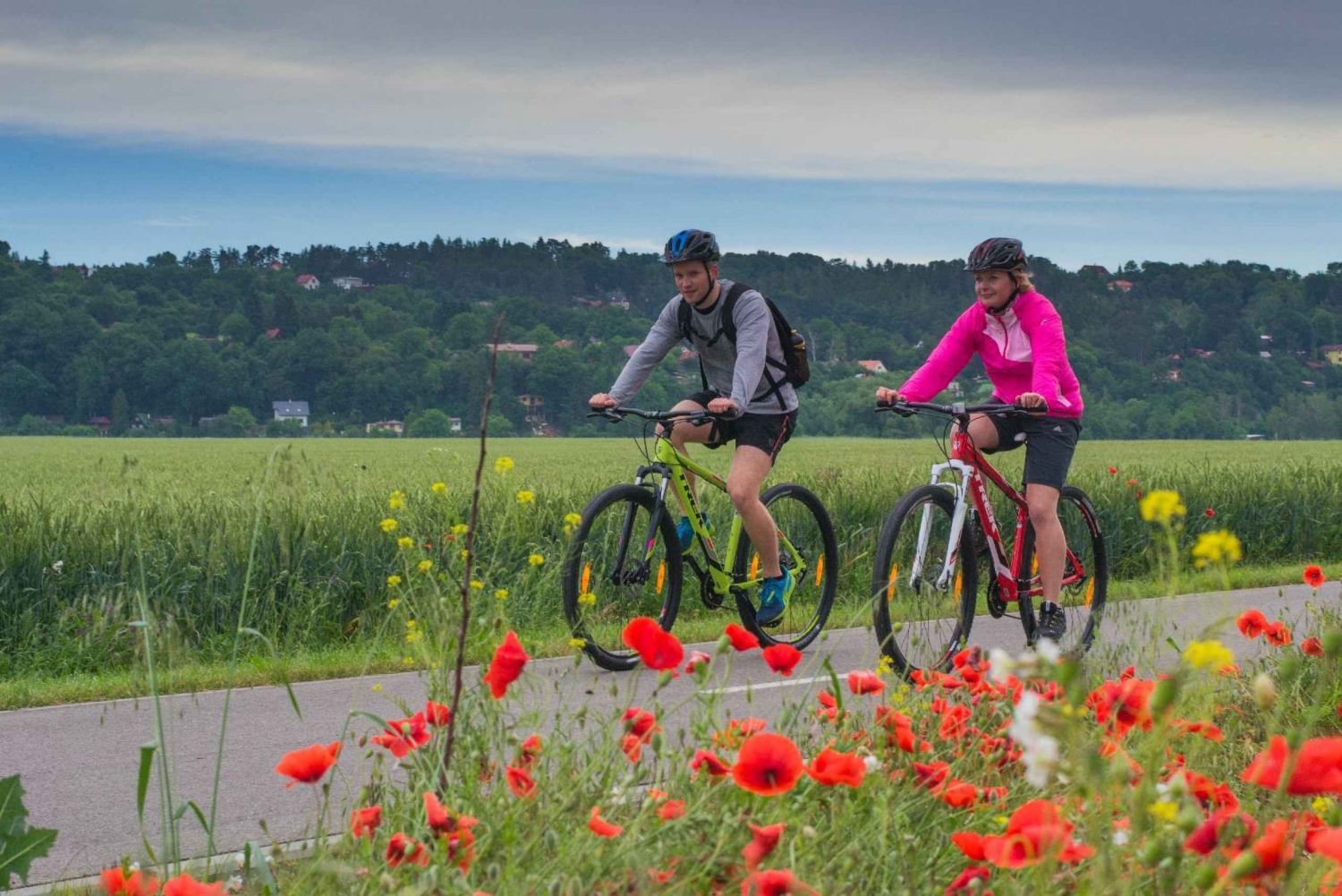 E-Bike Day Trip: Visit a Roman Castle and Taste Craft Beer