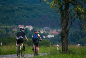 E-Bike Day Trip: Visit a Roman Castle and Taste Craft Beer