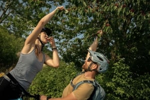 E-Bike Full-Day Trip From Prague:The Mighty Karlstejn Castle
