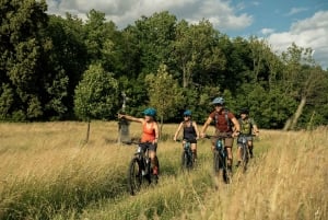 Viagem de 1 dia em E-Bike a partir de Praga: O poderoso Castelo de Karlstejn