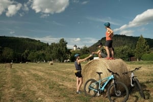 Viagem de 1 dia em E-Bike a partir de Praga: O poderoso Castelo de Karlstejn