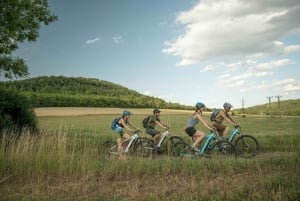 Viagem de 1 dia em E-Bike a partir de Praga: O poderoso Castelo de Karlstejn
