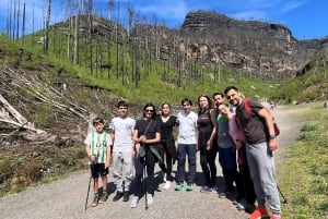 From Dresden: Highlights Day Tour Bohemian Saxon Switzerland