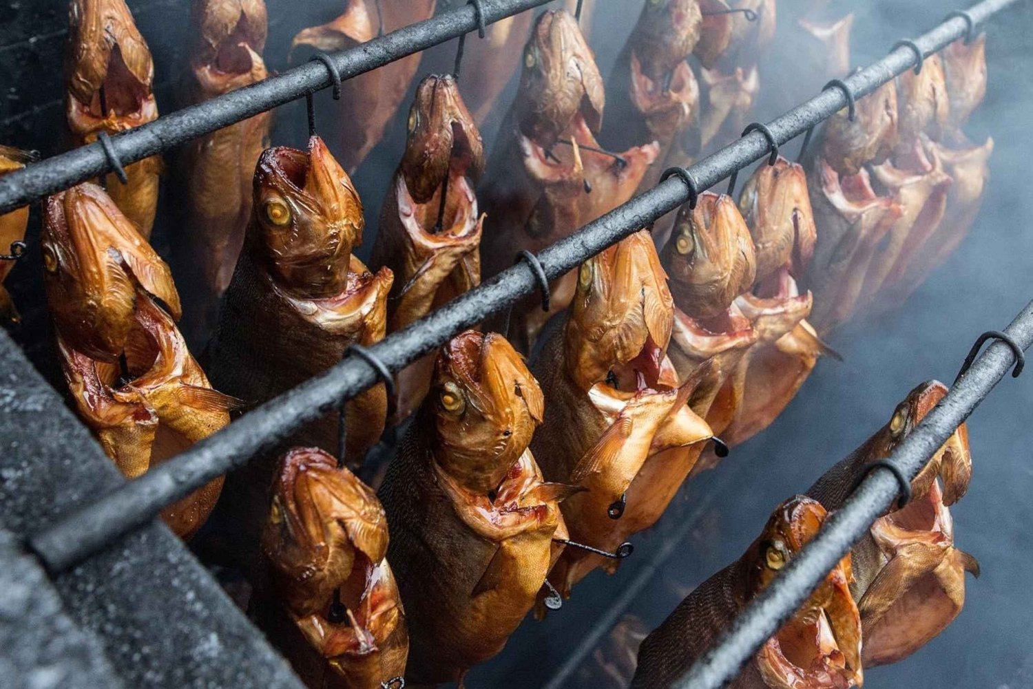 Gastronomisk dagsutflykt: lokal mat, vin, öl och slott