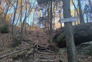 Gastronomisk dagsutflykt: lokal mat, vin, öl och slott