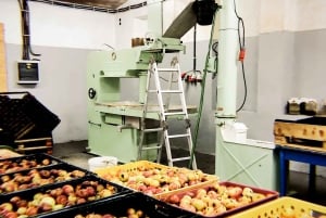 Gastronomisk dagsutflykt: lokal mat, vin, öl och slott