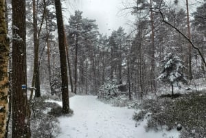 Da Praga: Paradiso boemo - Escursione a piedi di un giorno intero