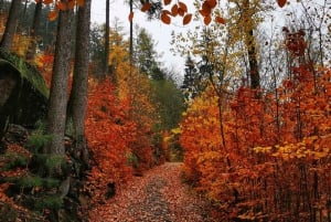 Da Praga: Paradiso boemo - Escursione a piedi di un giorno intero