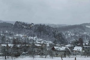 Da Praga: Paradiso boemo - Escursione a piedi di un giorno intero