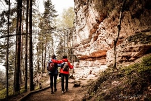From Prague: Bohemian & Saxon Switzerland All-Inclusive Tour