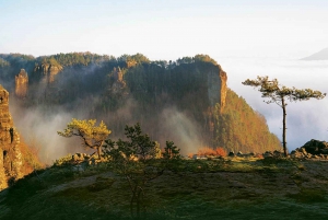 From Prague: Bohemian Switzerland National Park Private Tour