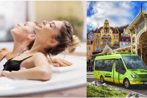 From Prague: Guided Trip to Karlovy Vary with Spa