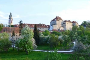 Från Prag: Hel dags utflykt till Český Krumlov