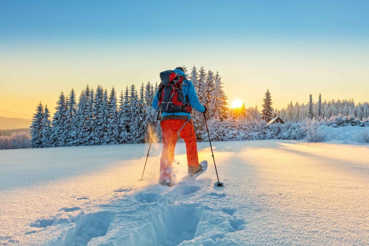 Guided Snowshoe Tour with Mountain Views