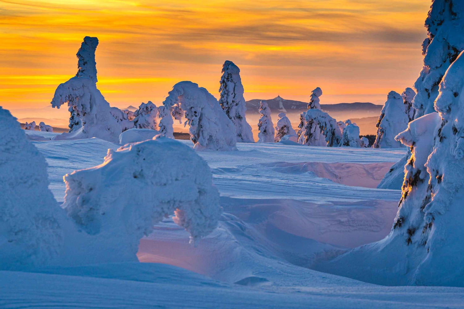Da Praga: tour guidato con le ciaspole con vista sulle montagne