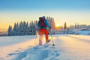 Von Prag aus: Geführte Schneeschuhtour mit Bergblick