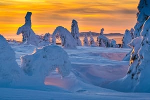Da Praga: tour guidato con le ciaspole con vista sulle montagne