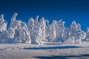 Da Praga: tour guidato con le ciaspole con vista sulle montagne