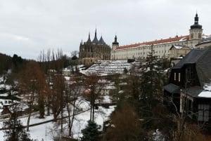 From Prague: Half-Day Coach Tour to Kutná Hora